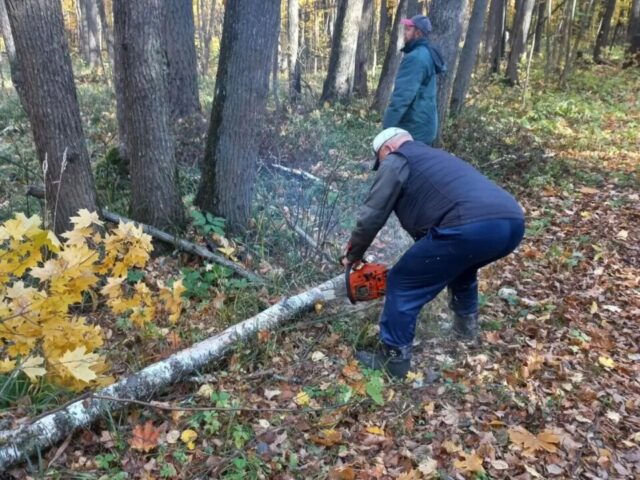 Работы на городской лыжной трассе продолжаются
